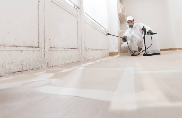 24/7 Emergency Commercial Mold Remediation experts in Martinsville, IL